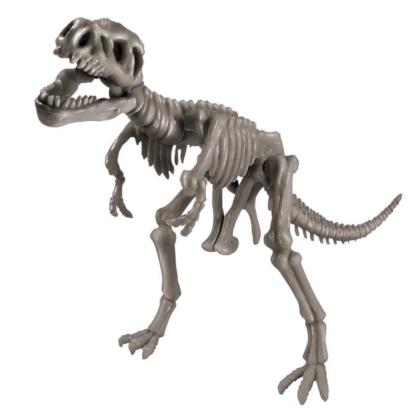 T-Rex Dig Kit Sale - Image 3